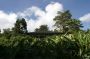 Trinidad2005 - 001
